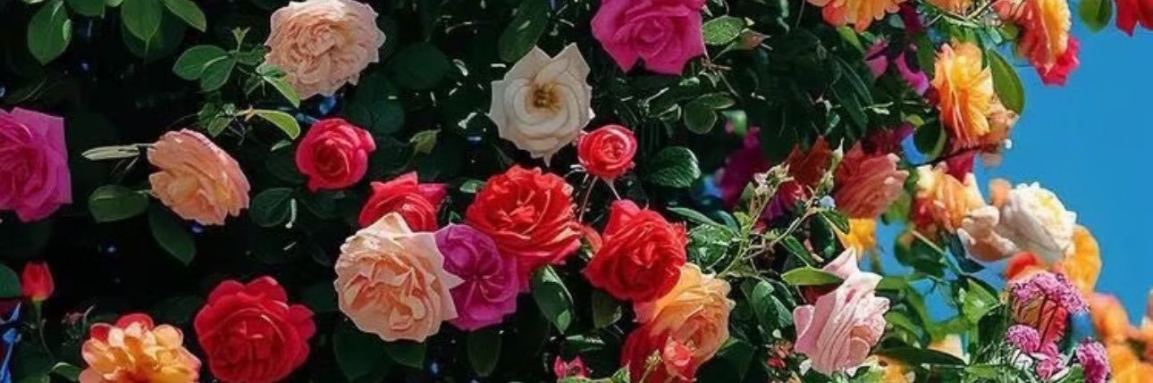 mommafrabs banner