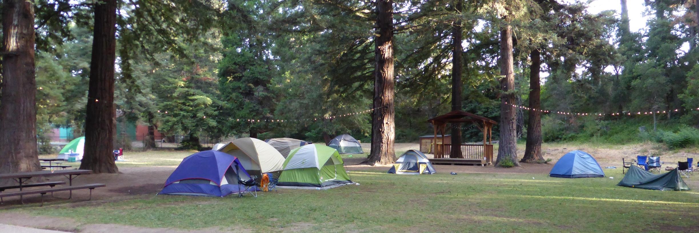 Pack515's profile banner image