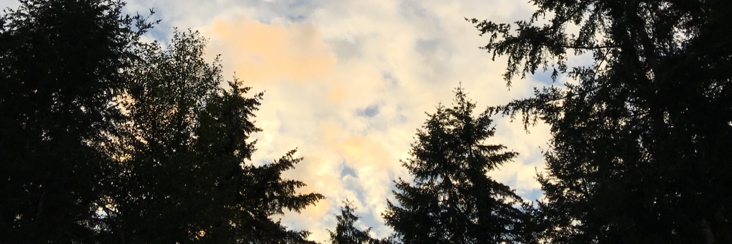 scottas's profile banner image