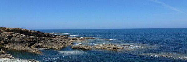 ConchaCLC Profile Banner