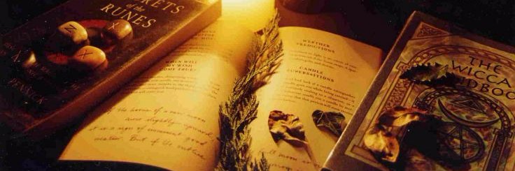 TheScaledSpell's profile banner image