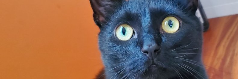 ki001's profile banner image