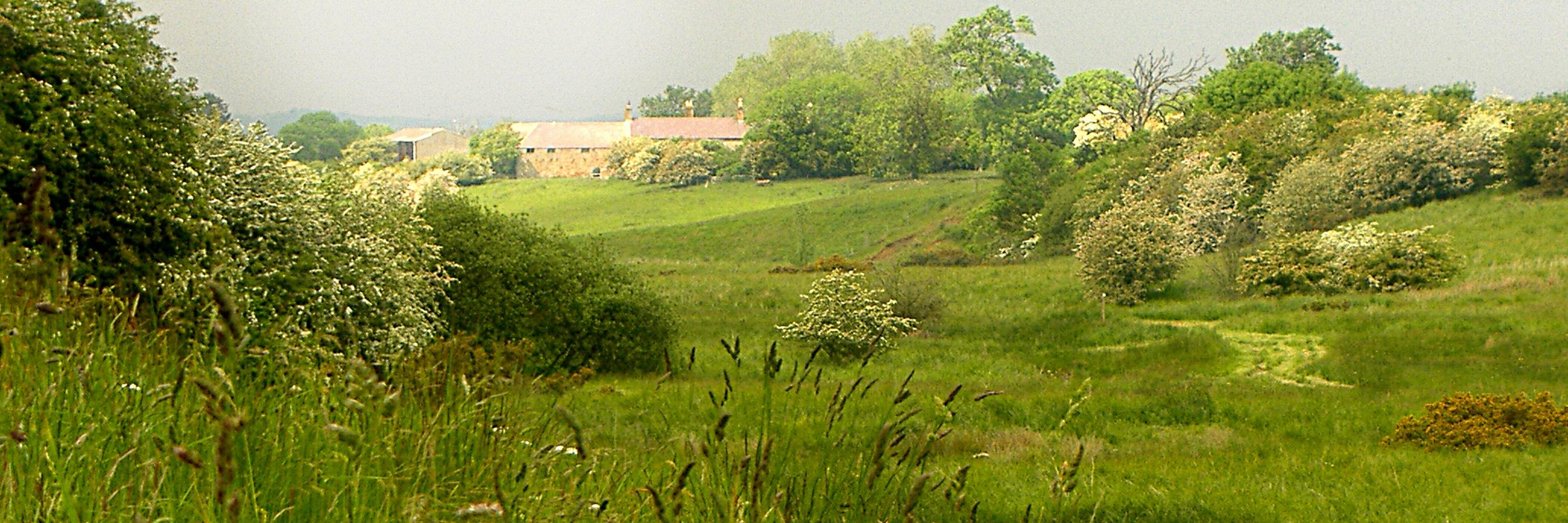 HuntingHall's profile banner image