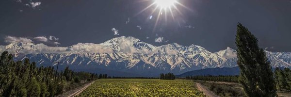 CatenaMalbec Profile Banner