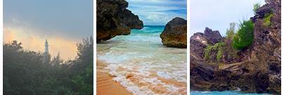 Brandee Dallow banner