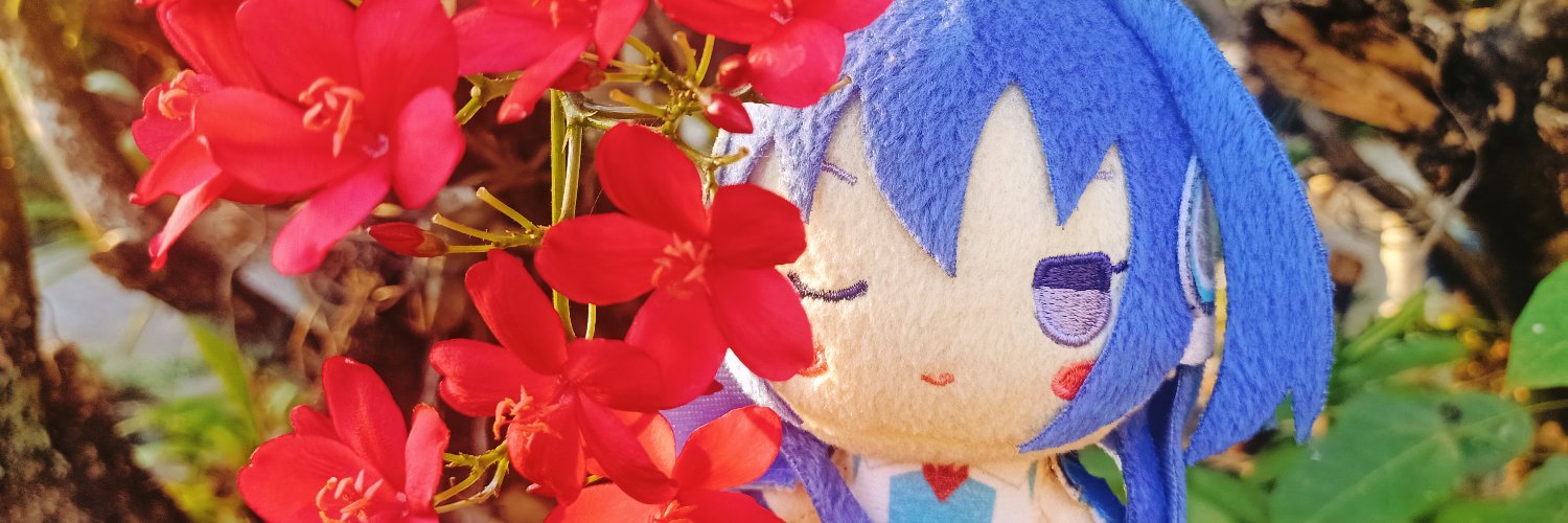 aa_wing7's profile banner image