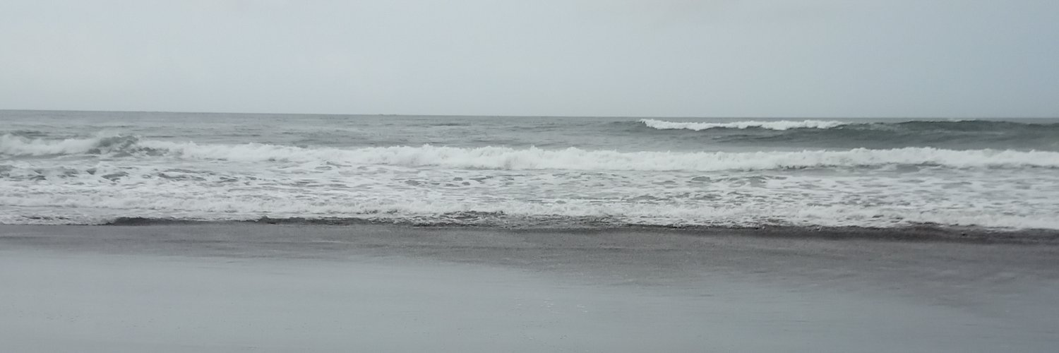 ꕤ banner