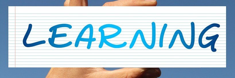 Laia Paz Martínez banner