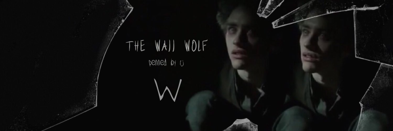 thewallwolf's profile banner image