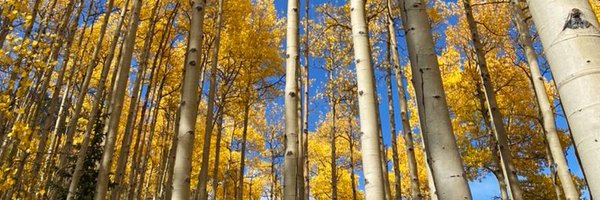 Jamie_Baaaby8 Profile Banner