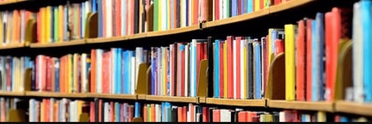 BookwormCatLady's profile banner image