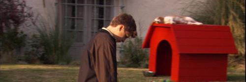 George Noonan banner