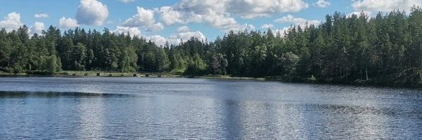 owindhaeuser's profile banner image