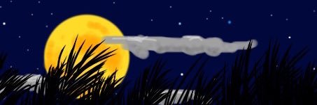 muru1113's profile banner image