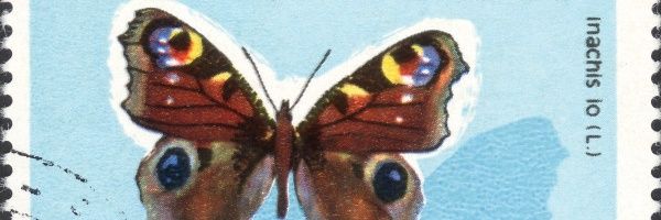 Skipper_bfly's profile banner image