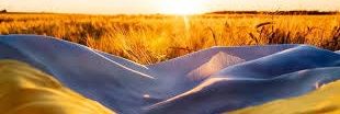 SunFellaWarrior's profile banner image