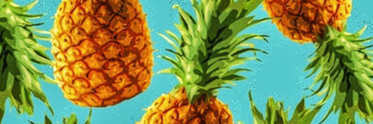 KGrienier's profile banner image