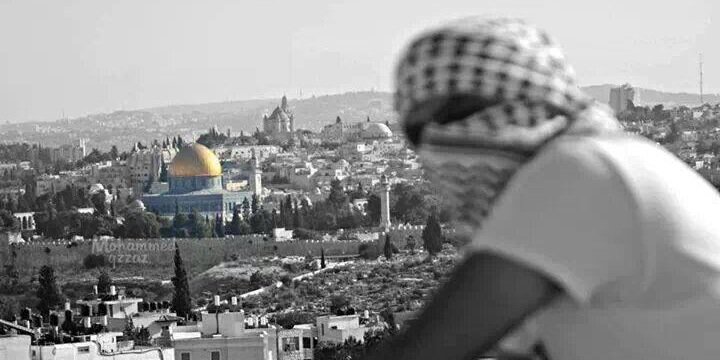 rayanHsaeed's profile banner image