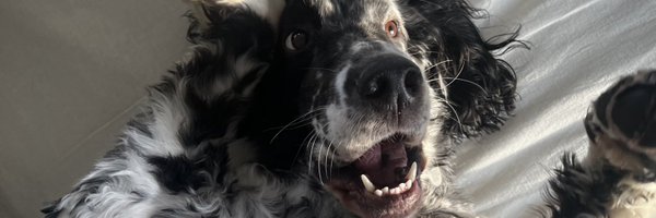 CoachHoff_ Profile Banner