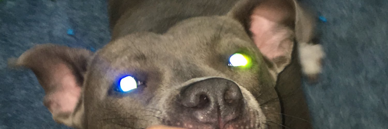 sativasanto's profile banner image