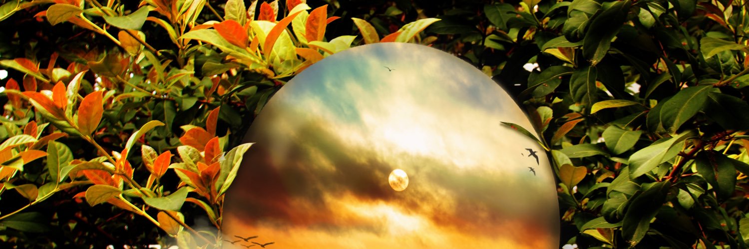 Toukosama's profile banner image