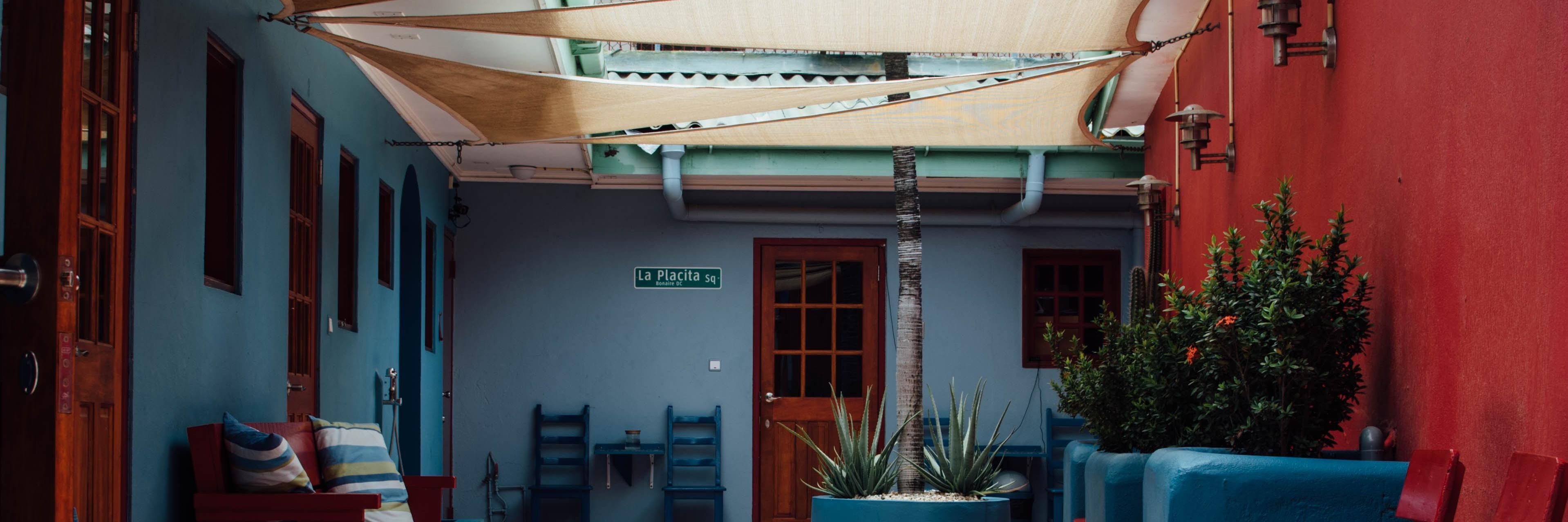 Sarah Shows Odom banner