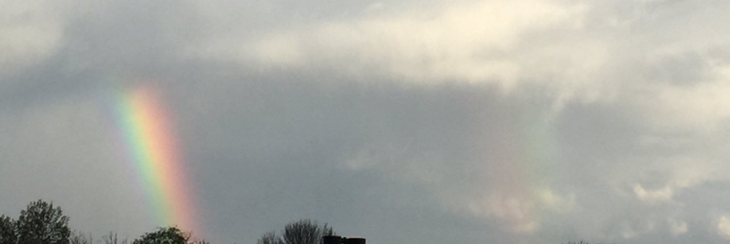 CaraghTaylor's profile banner image