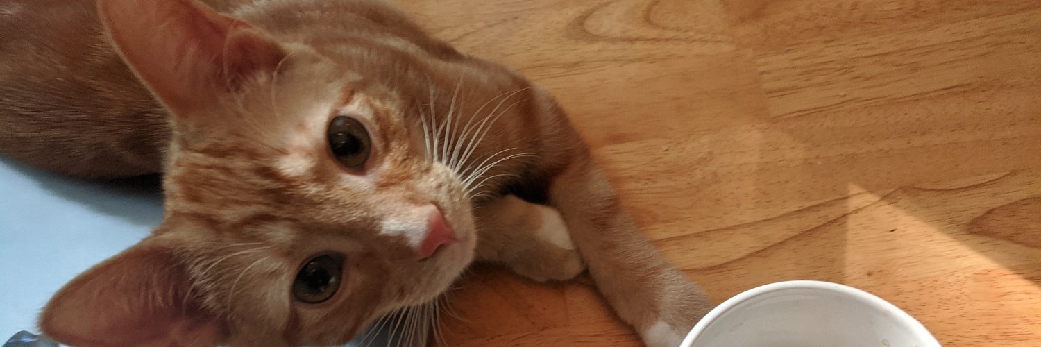 Galen Charlton banner