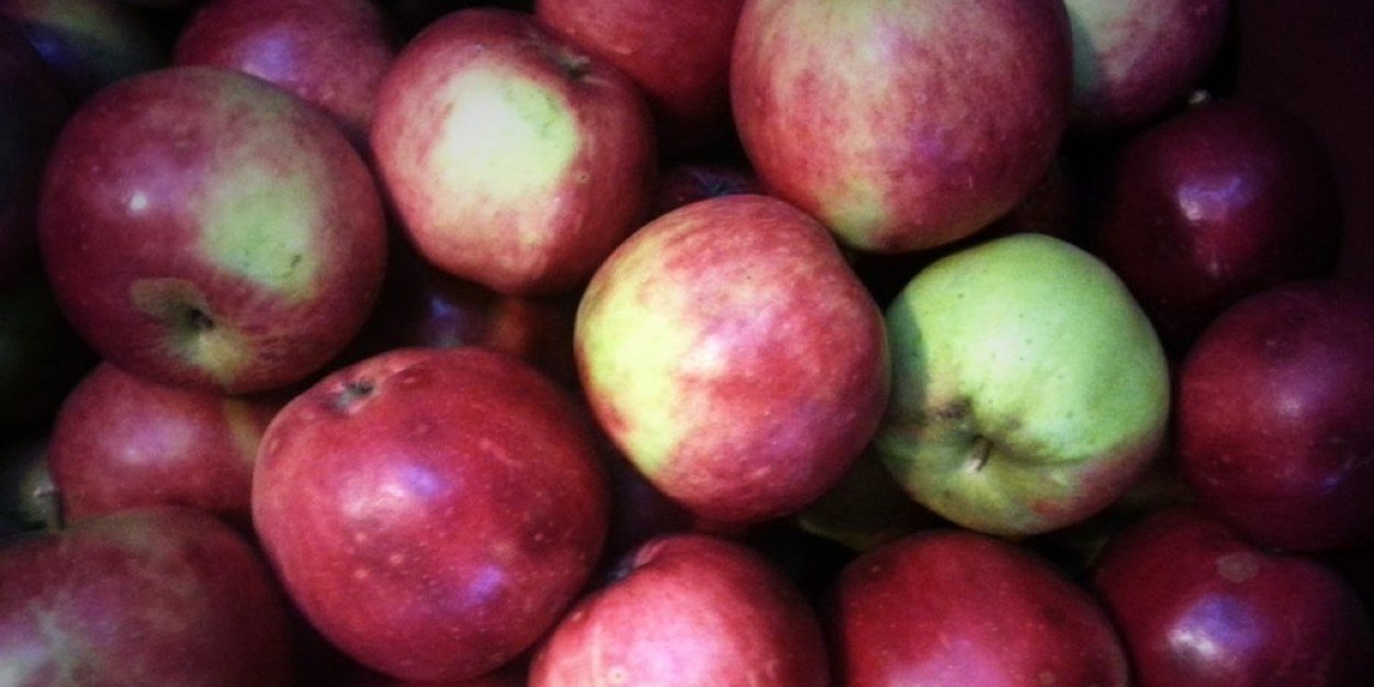 Pete Farrer 🇪🇺 》🇬🇧🇩🇪🇮🇹🇨🇭 banner