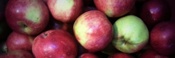 farminpete Profile Banner