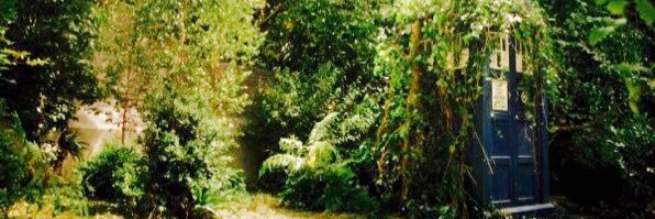 Amber_Poppins's profile banner image