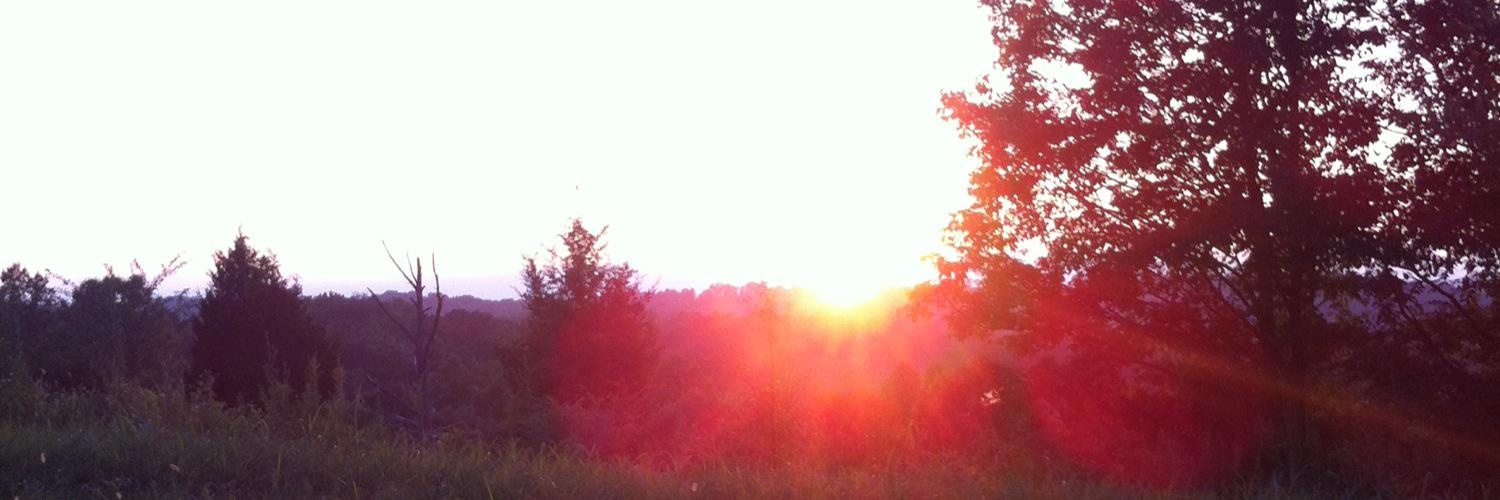 NickoSprung's profile banner image
