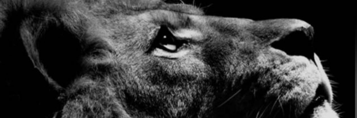 azo9rr's profile banner image
