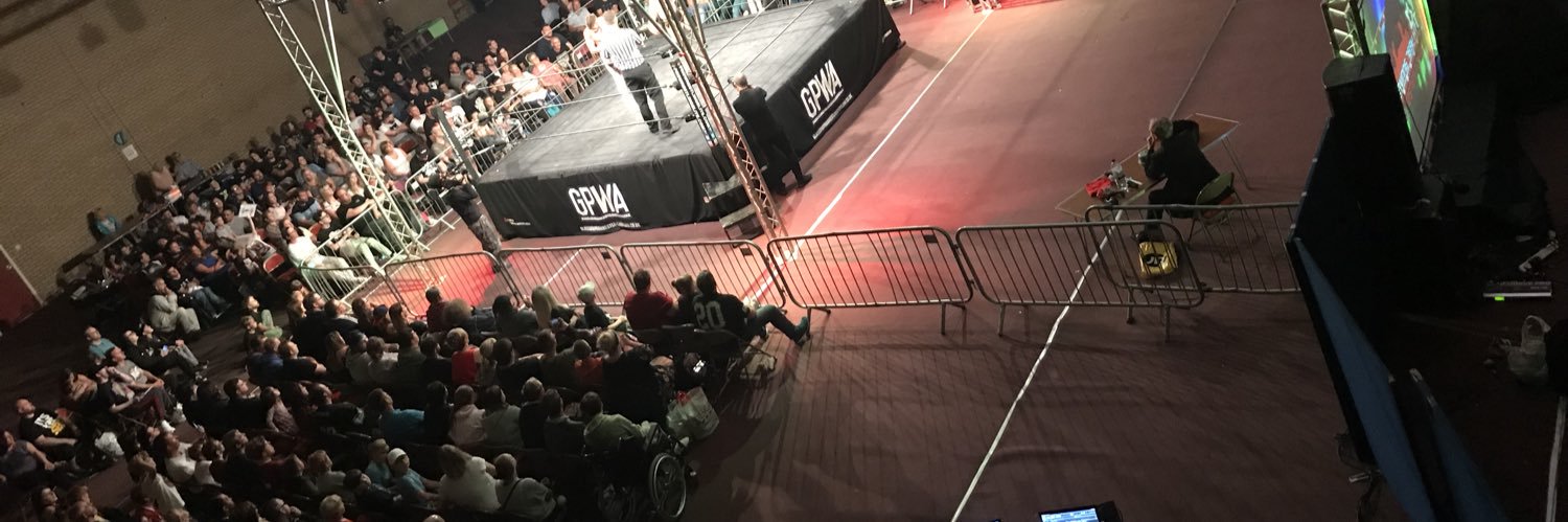 Pro Wrestling Elite banner