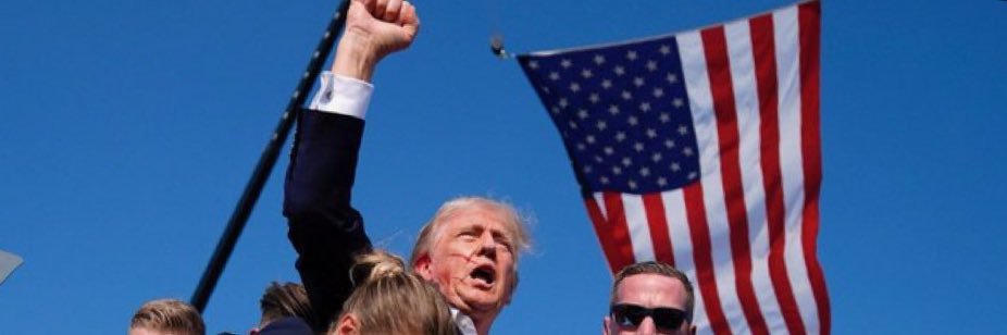 Betsy Dorman banner