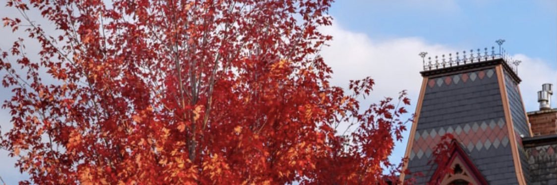 MaryyamAlS's profile banner image