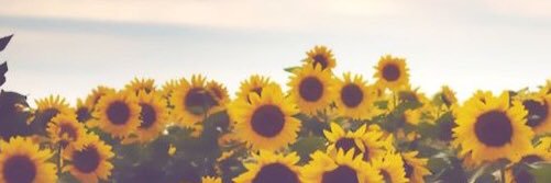 SAJones93's profile banner image