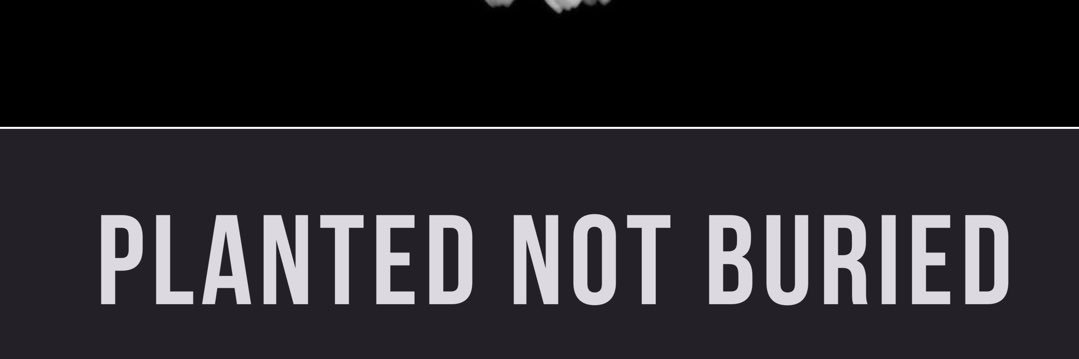 CheekiWill banner