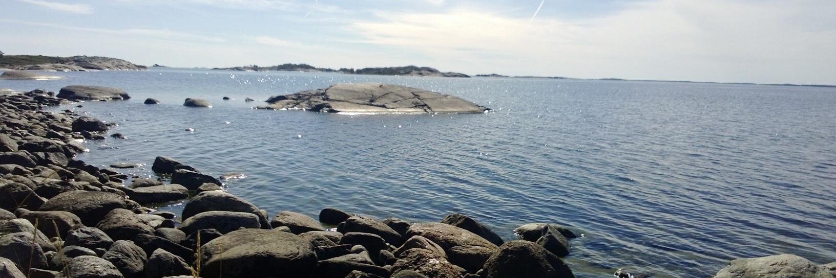 Anu Lääveri banner