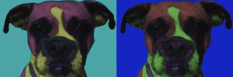 ppvrgs12's profile banner image
