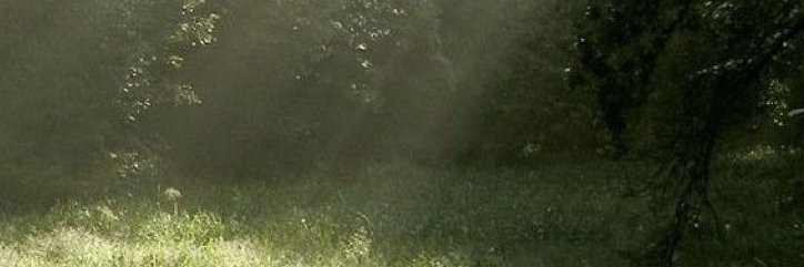 _marimoh's profile banner image