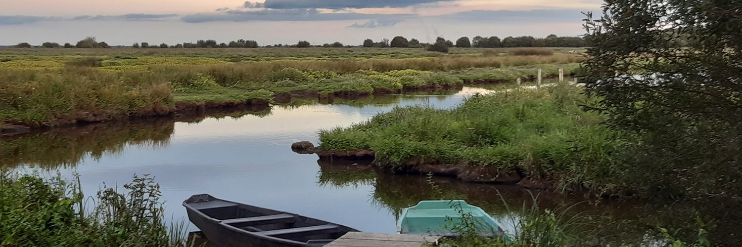 Thibault Chevalier banner