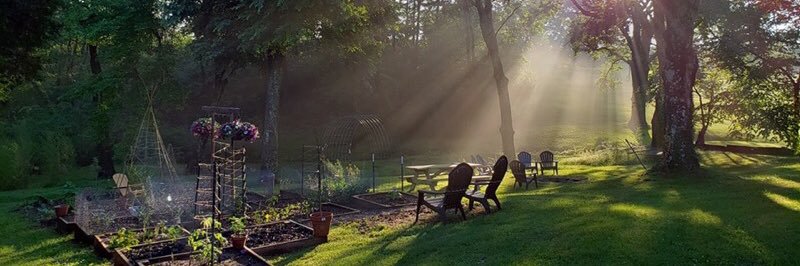 Chase Applegate banner