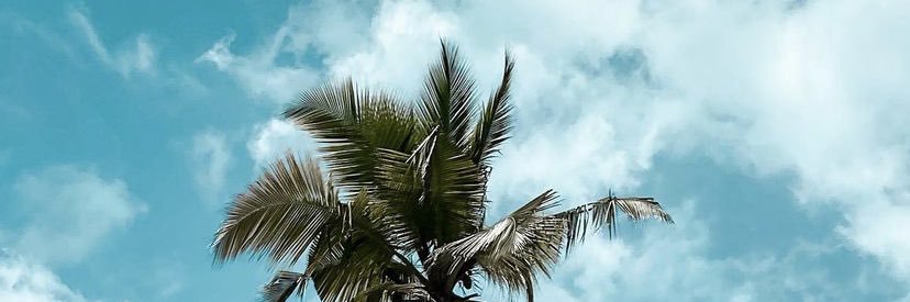 zeynepsahingil's profile banner image