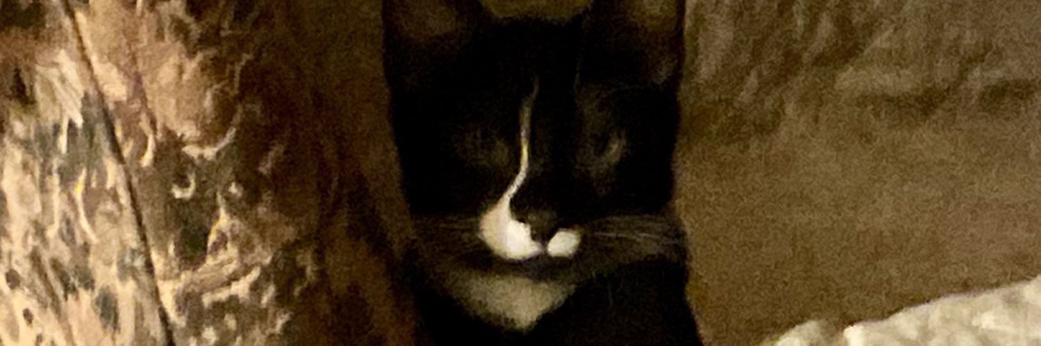 deblee1960's profile banner image