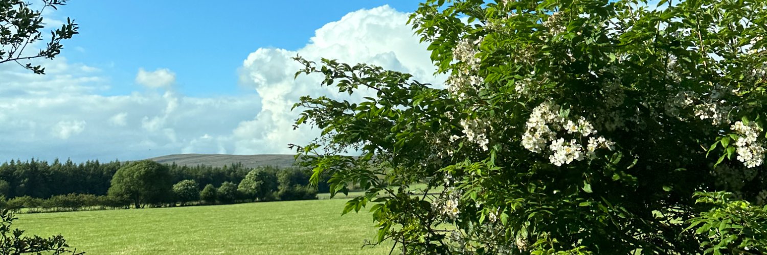 ellie bisping banner