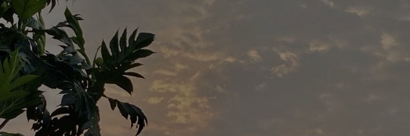 Ellapikkaa's profile banner image