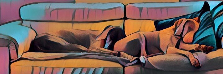 TraceyLoveLife's profile banner image