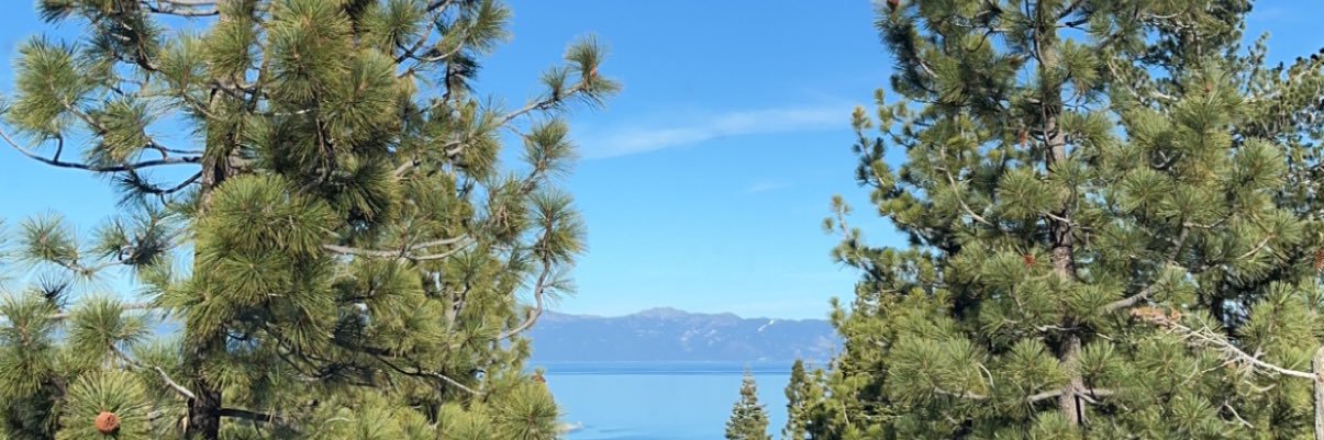 monikadain's profile banner image