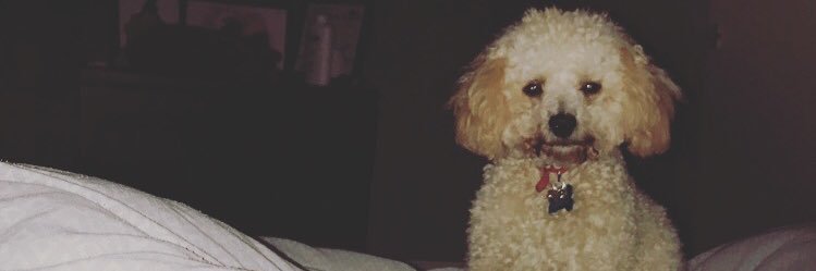 _JoshPierce's profile banner image